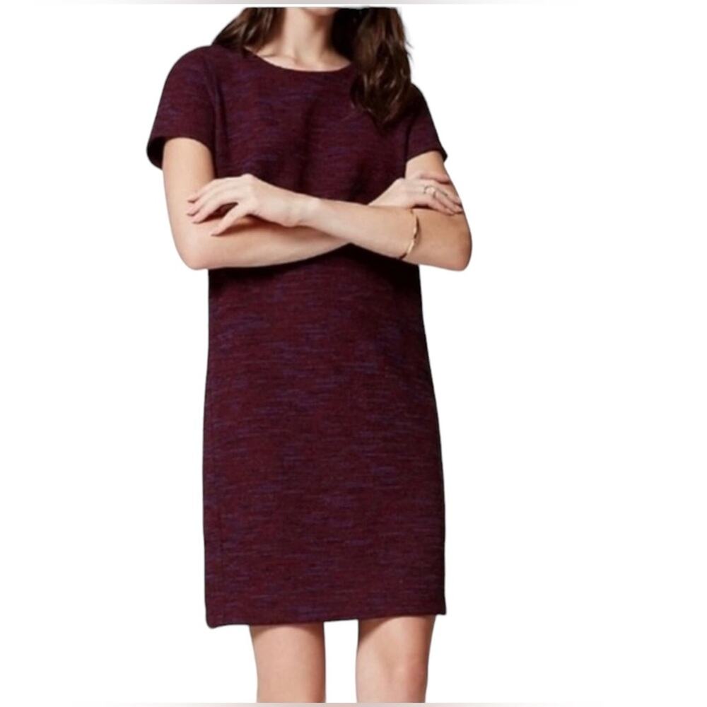 Loft spacedye short sleeve shift dress XS